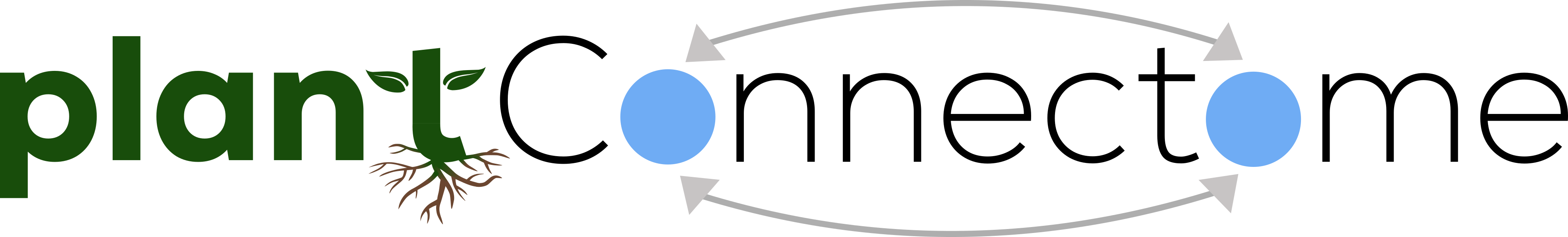 PlantConnectome